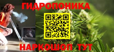 шишки Заводоуковск