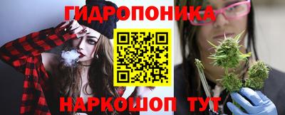 шишки Заводоуковск