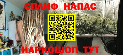 гидра Донской