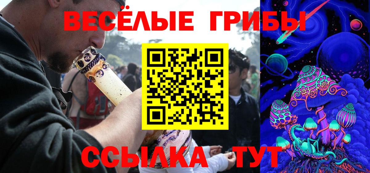 Псилоцибиновые грибы Psilocybine cubensis  Псилоцибиновые грибы ЛСД  Михайловск  Вход с VPN 